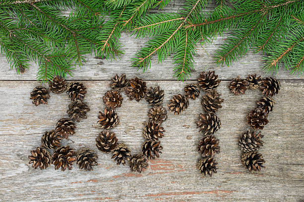 istock Sigh symbol from pine cones number 2017 onwooden background 610453140