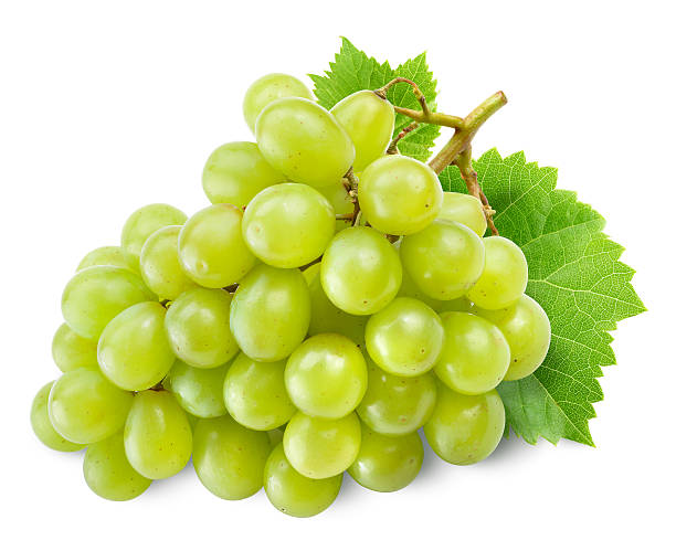 Fresh green grapes with leaves. Isolated on white.