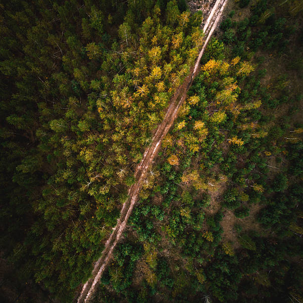 istock Road in the forest. Aerial view. 610542262