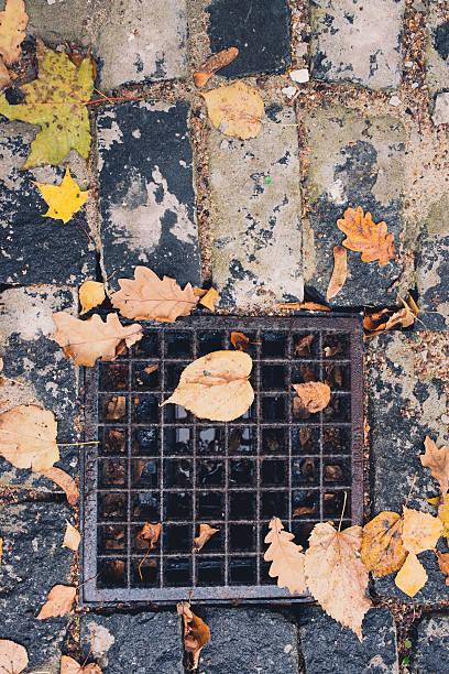 istock drain gate cast grill filled with autumn leaves and water 610544234