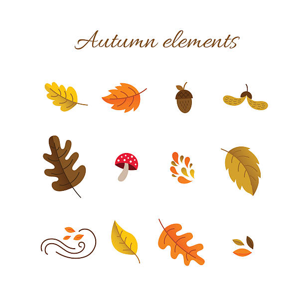 ilustrações, clipart, desenhos animados e ícones de conjunto de elementos de outono - poplar tree forest oak tree autumn
