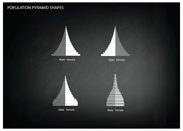 Seattle Population Pyramids 40+ Population Shrink Stock Photos, Pictures & Royalty-Free Images - iStock
