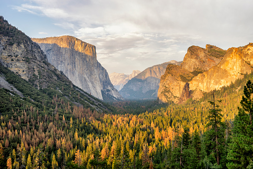 Half Dome as seen from the Glacier Point vista in Yosemite National Park in central California United States