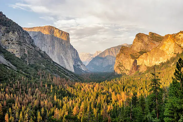 Yosemite View in California