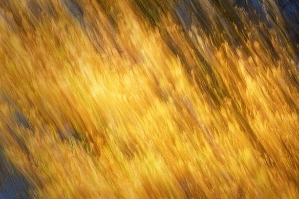 Abstract autumn landscape stock photo