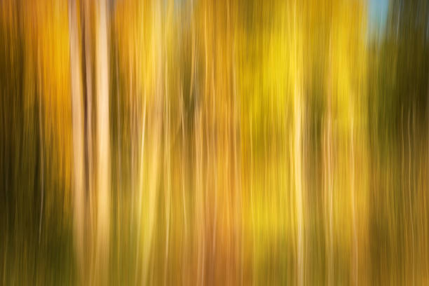 Abstract autumn landscape stock photo