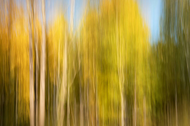 Abstract autumn landscape stock photo