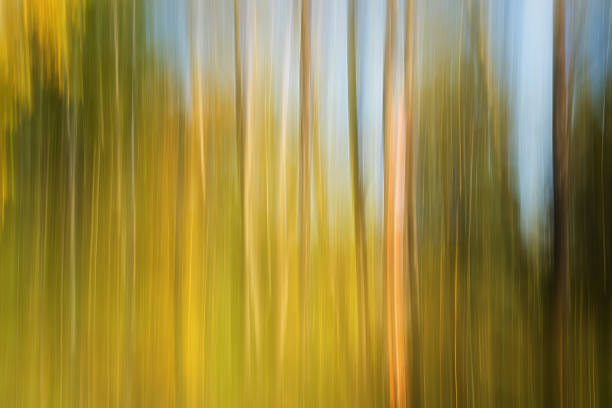 Abstract autumn landscape stock photo