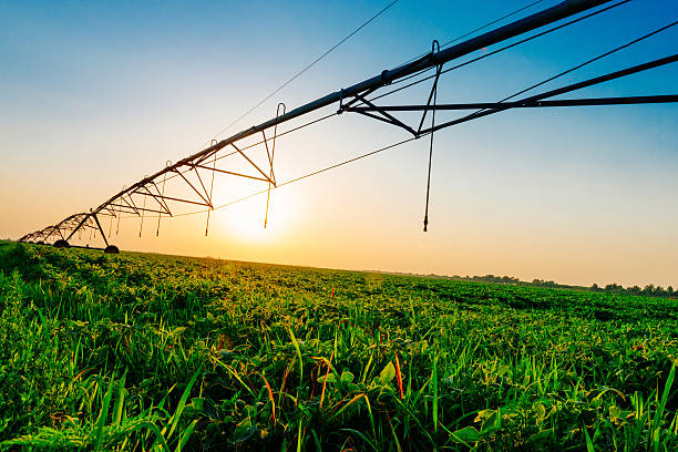 istock Irrigation system on soybean field in sunset on farm 610549348