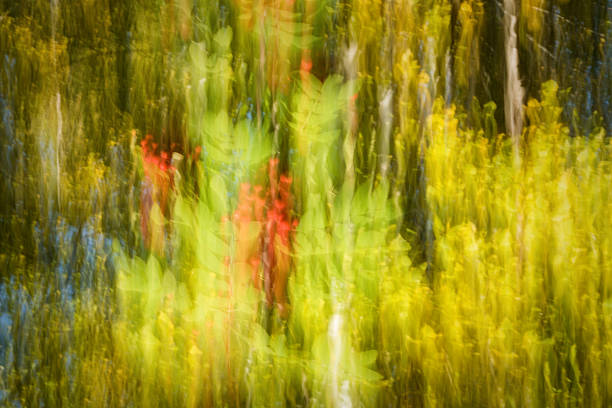 Abstract autumn landscape stock photo
