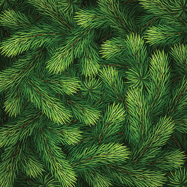 Detailed Christmas Tree Branches Background Stock Illustration - Download  Image Now - Christmas Tree, Backgrounds, Pattern - iStock