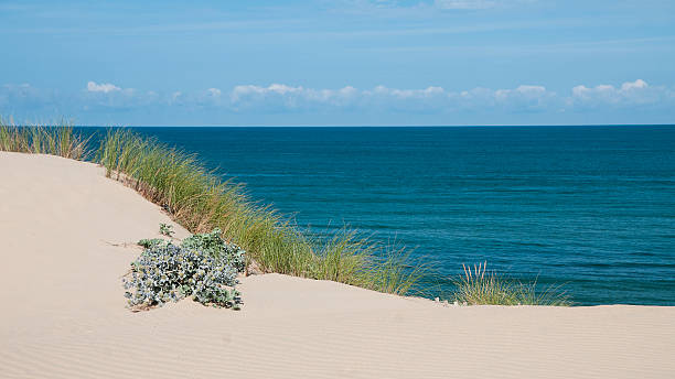 Sand dune in france Sand dune waterfront in Nouvelle-Aquitaine - France waist deep in water stock pictures, royalty-free photos & images