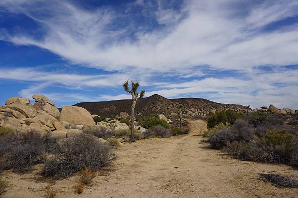 istock Dirt Road in the Desert 610550330