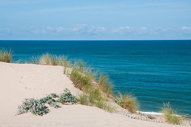 istock Sand dune in France 610550384