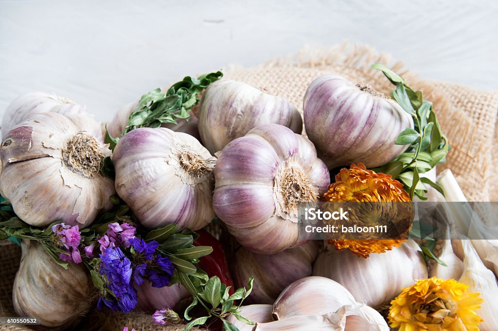 Composition of fresh garlic, dried herbs and flowers Antibiotic Stock Photo