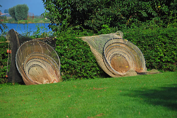 fischfalle für cathing frischwasseraal. - eel trap stock-fotos und bilder