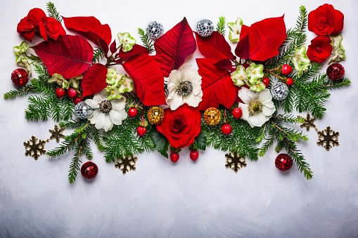 Christmas decoration with poinsettia, holly, ivy, mistletoe and fir branches on light background