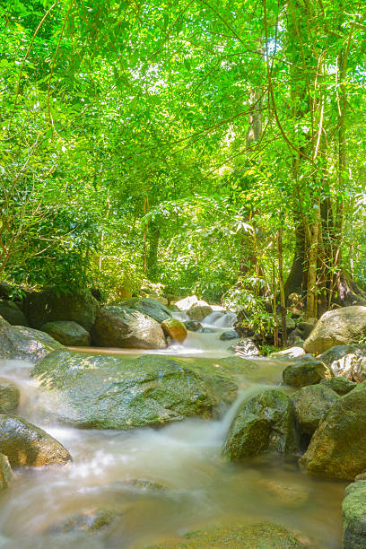 istock Waterfall in forest background with long explosure collection 610552320