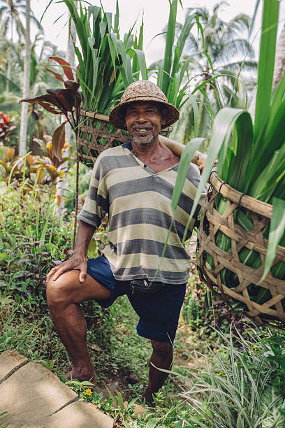 istock Senior farmer standing in his farm 610552696
