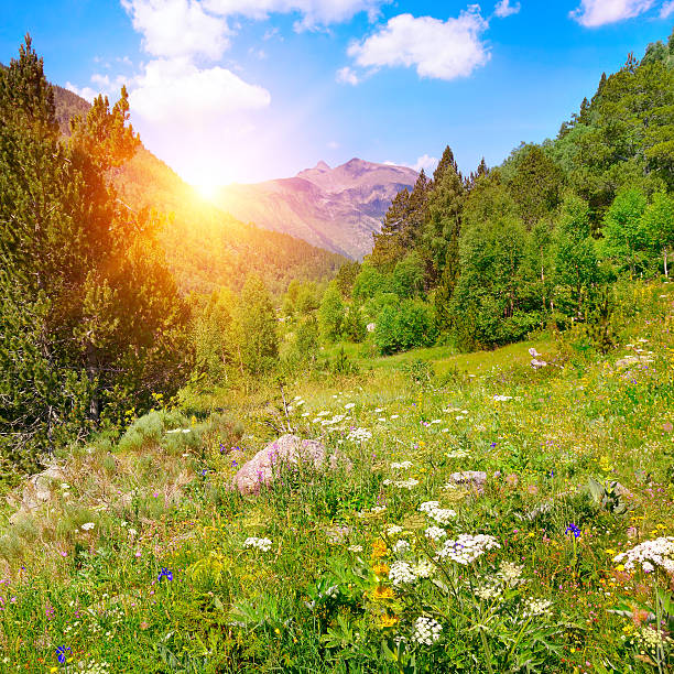 istock Beautiful sunrise in high mountains 610552792