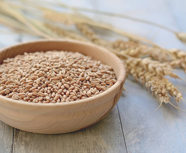 istock Plate with grains and wheat ears 610556556