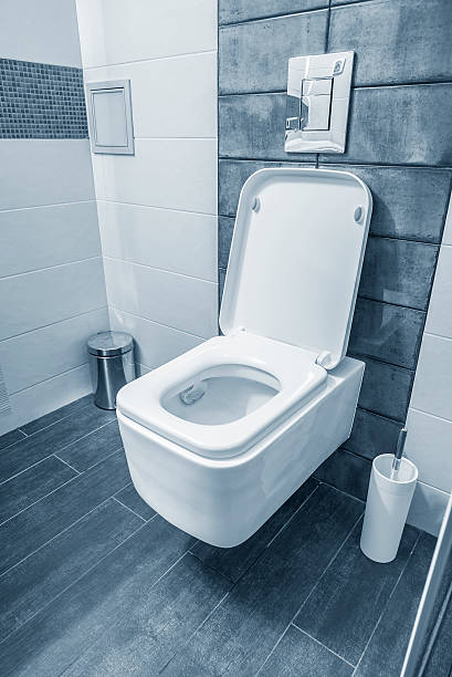 istock Blue bathroom in a modern room. 610561938