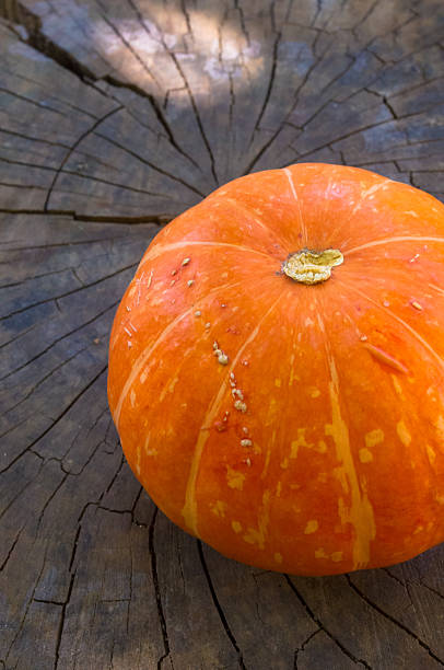 istock background for Halloween holiday - decorative pumpkin 610565152