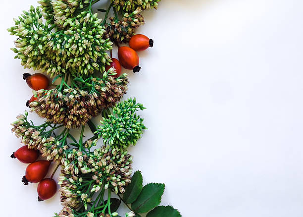 istock Green floral wreath. Flat lay, autumn or winter decoration 610565320