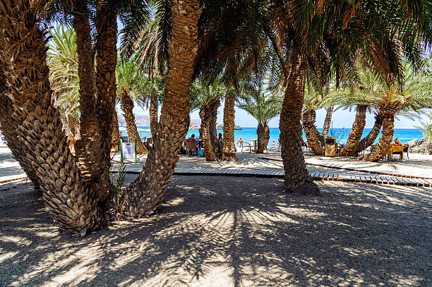 Vai, Crete, Greece - June 27, 2016: Entrance to Vai beach with green palms and sandy beach on Crete island