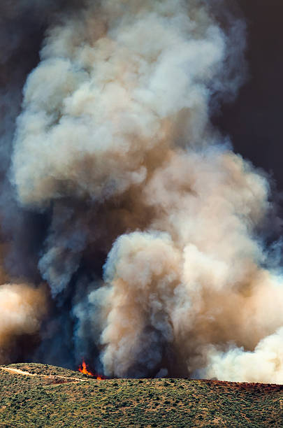 istock Flames and Dense White Smoke Rising from the Raging Wildfire 610568836