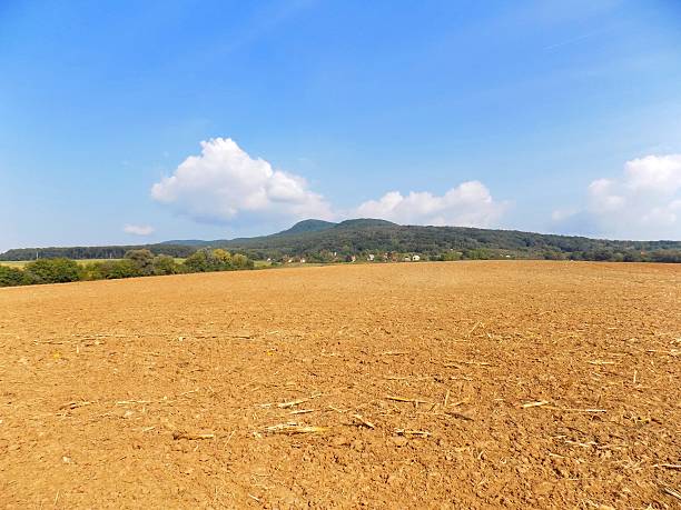 istock Field and hill in background during sunny day 610569652