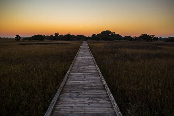 istock Wooden Trail to the Sunset 610572364