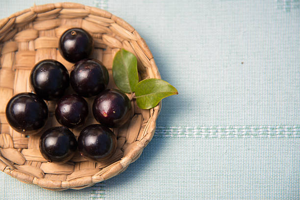 istock Jabuticaba. Tropical fruit of Brazil 610572732