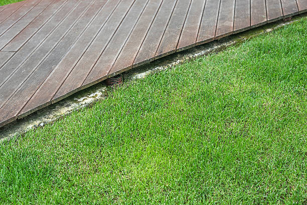 istock Grassy lawn and wooden flooring. 610572810