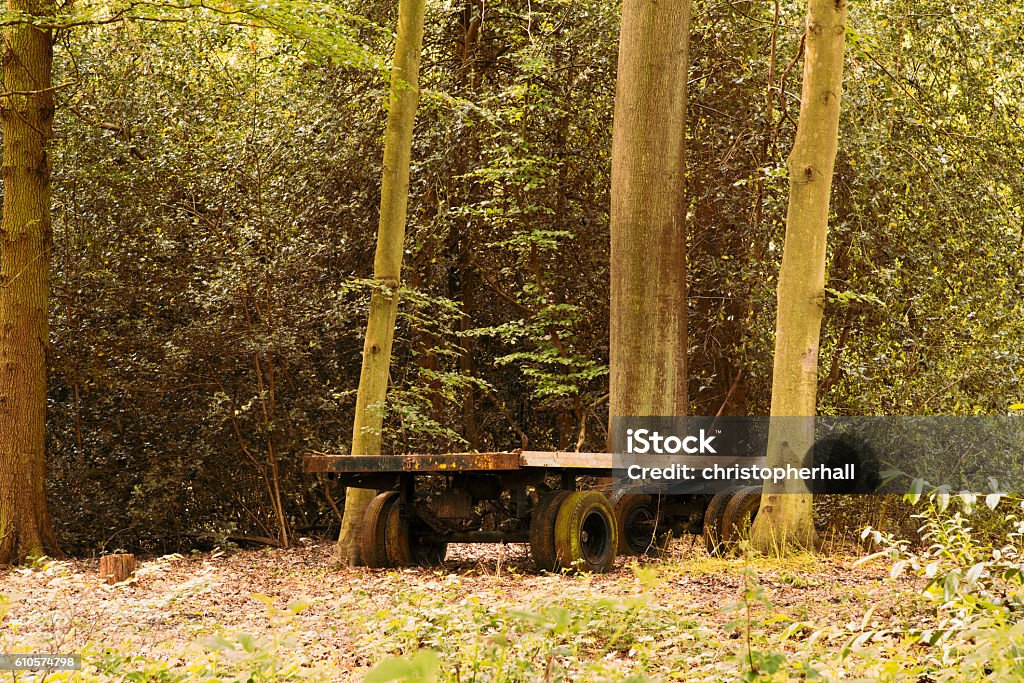 Old abandond trailer left in the woods Abandoned Stock Photo