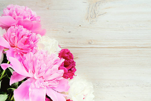 istock colorful peonies on white wooden surface 610574822