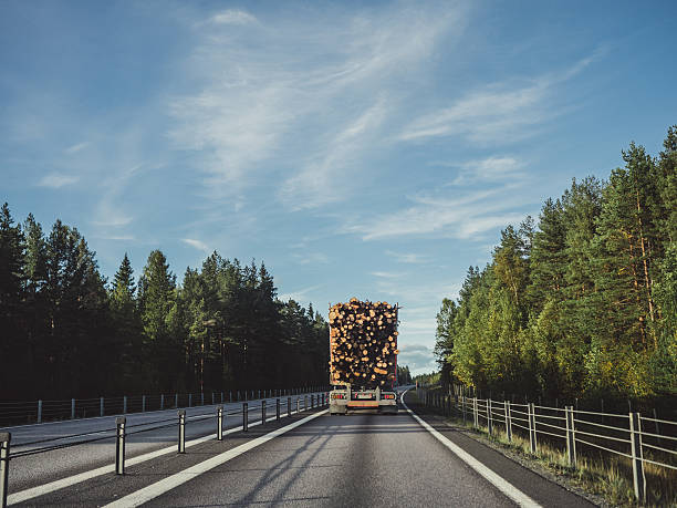 camión de madera que conduce en la carretera - norrland fotografías e imágenes de stock