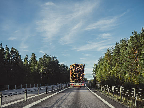 tarcica ciężarówka jazdy na autostradzie - norrland zdjęcia i obrazy z banku zdjęć