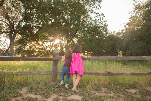 Two little girls looking away as they are leaning on a wooden fence in a meadow.