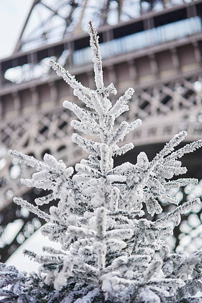 istock Christmas tree covered with snow near the Eiffel tower 610579652