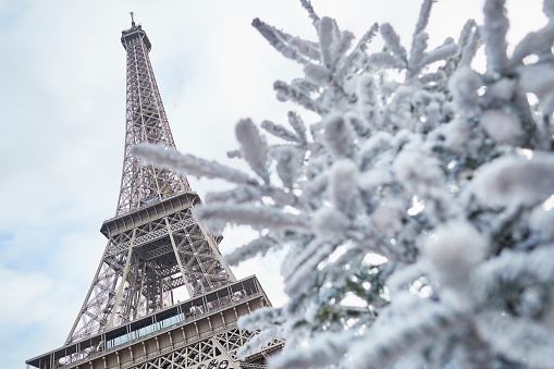 Paris Winter Pictures | Download Free Images on Unsplash