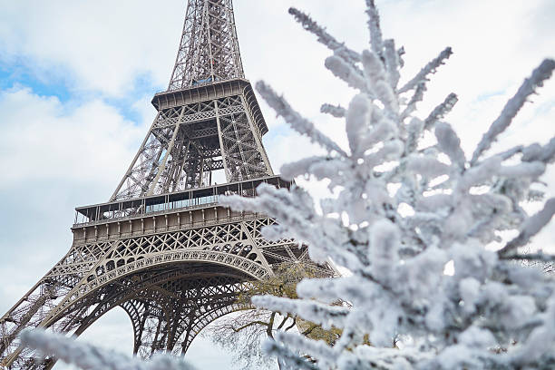 istock Christmas tree covered with snow near the Eiffel tower 610579864