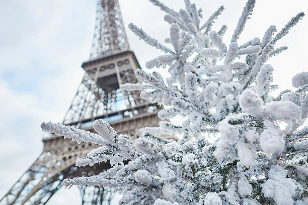 istock Christmas tree covered with snow near the Eiffel tower 610579918
