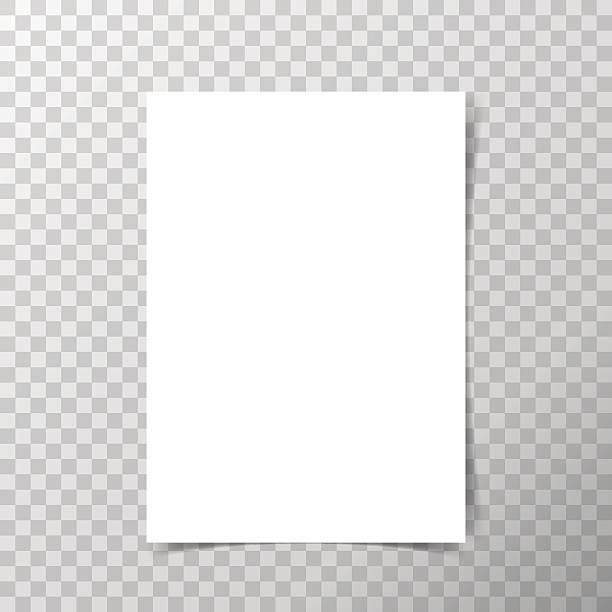 ilustrații de stoc cu hârtie vectorială în format a4 cu umbre pe fundal transparent. - pagină