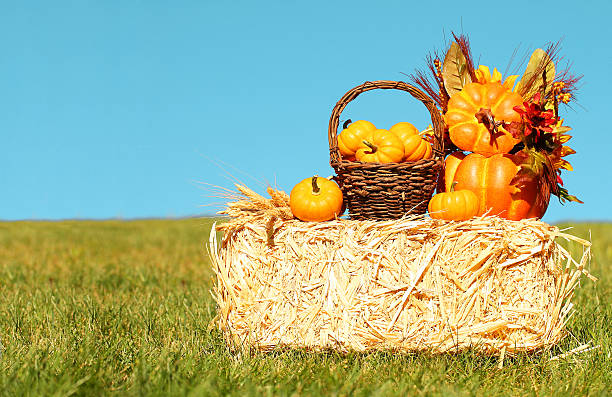 istock Autumn Decoration. Pumpkins with Basket on Straw Bale 610580800