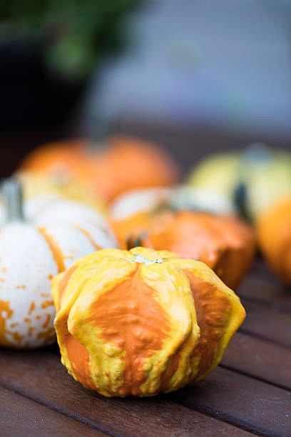 istock Orange and Yellow Autumn Gourd 610584464