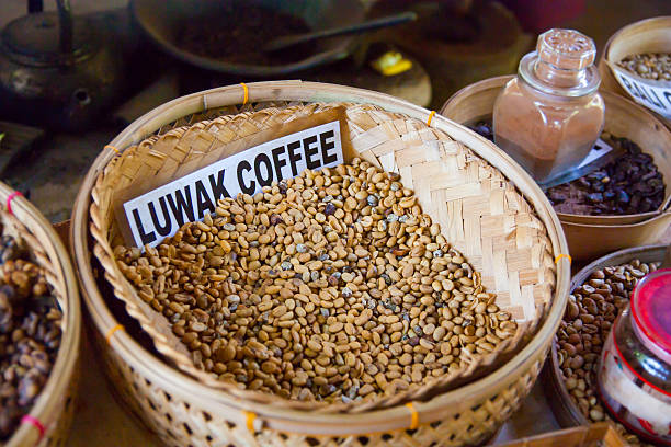 Kopi luwak is a rare coffee. I drank in Bali.