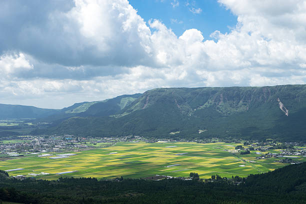 istock The view of Aso rice field. 610648810