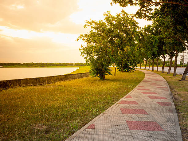 istock Running lane or walking way for exercise at public park 610650478