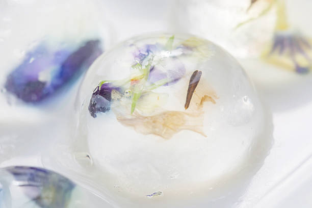 istock Jelly with edible flower inside - food decoration 610650938